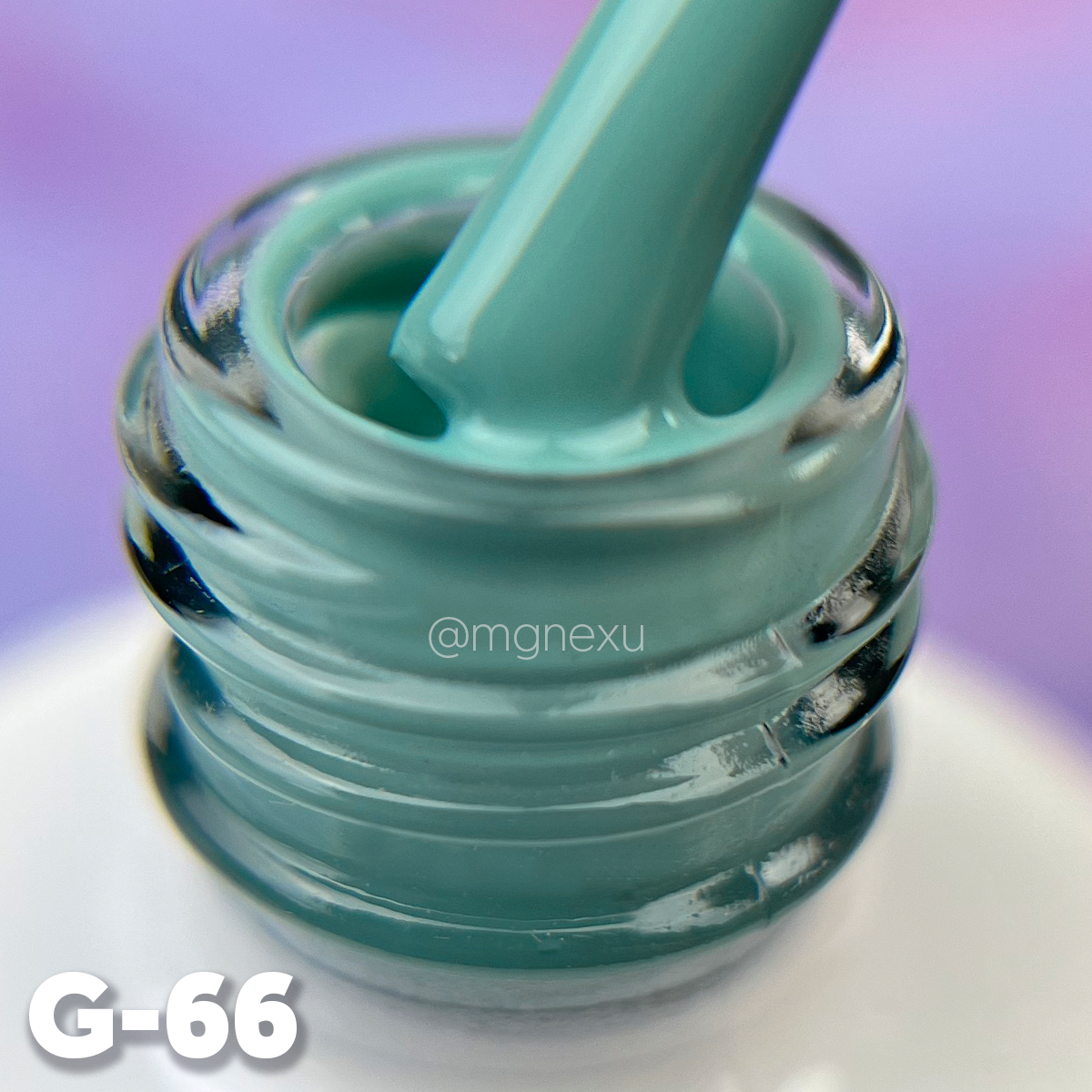 G-66