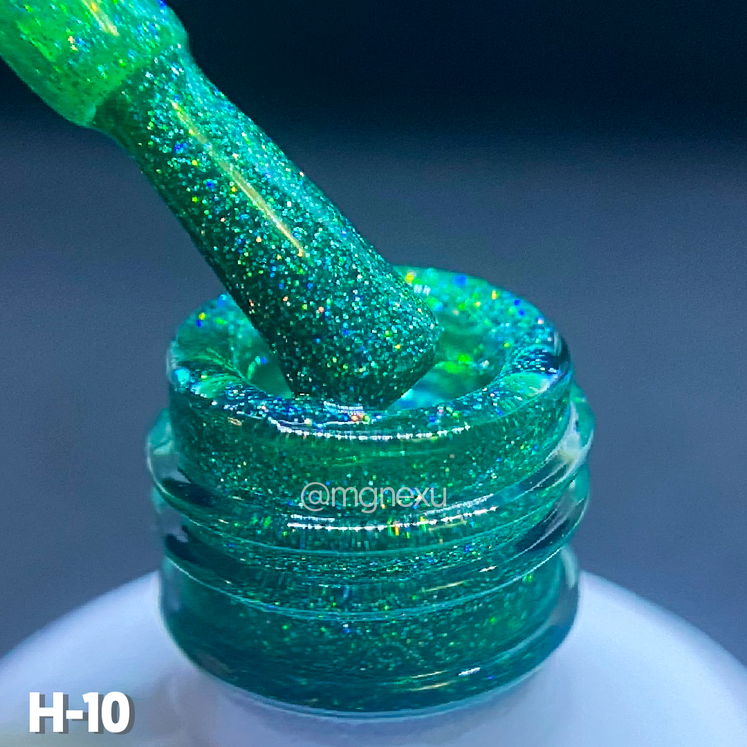 H-10