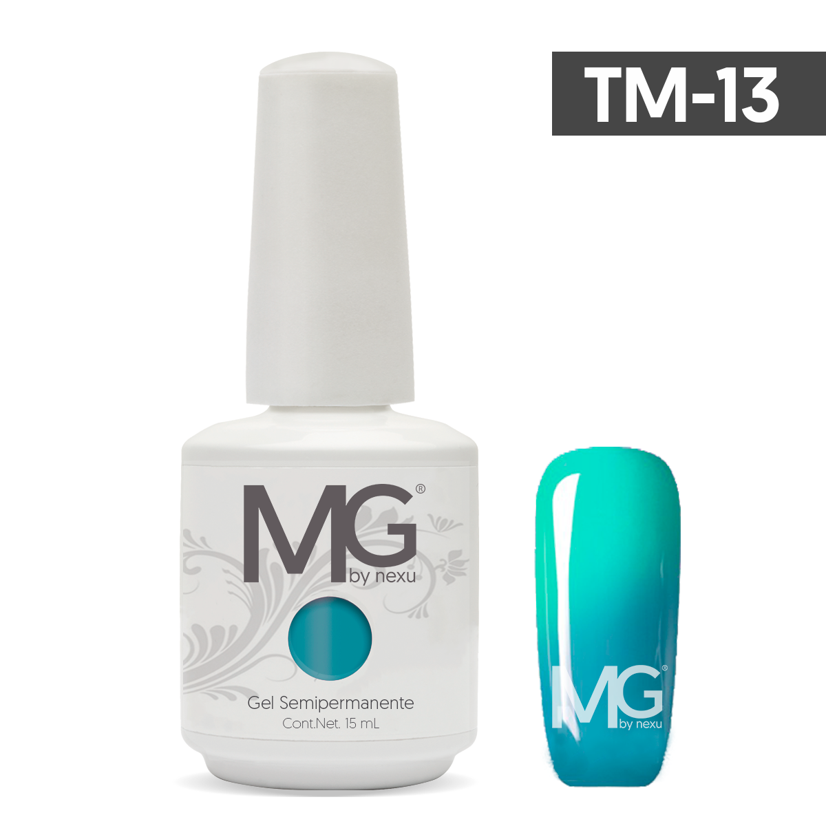 TM-13